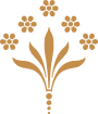 Collections Icon